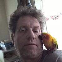 Timothy Elmer