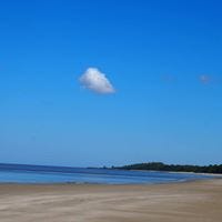 Susana Manifêsto Pierro