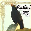 Blackbird Song