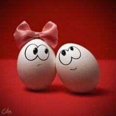 Eggcellents