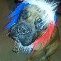 Gail Williamson Lucas