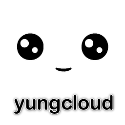 yungcloud.com