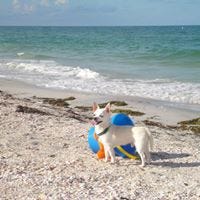 Catherine Roedersheimer