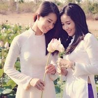 Vemaybay Thái Hân