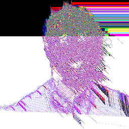 H. Karl