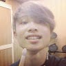 Gaussvnpro