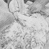 Justin Dion Williams