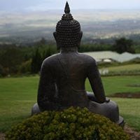 Kimmer Anne Sebesta-Yoo