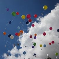 Su Fabienne Berrisch-Rahmel