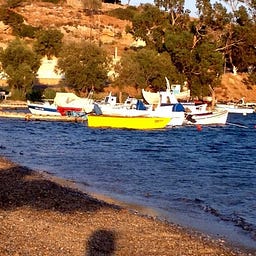Seray Sargin