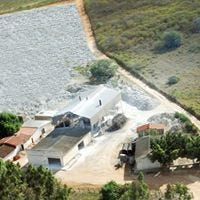 Max Gesso Brasil