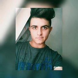 HİSSİZ