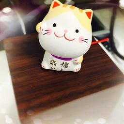 Jin Yan