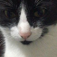 Juan Martin Contreras