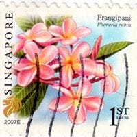 Abigail Cheung Wing Yiu