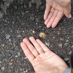 ZHANG Yu(Steven) 张宇