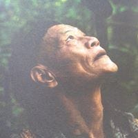 Paul Jelivan Terah