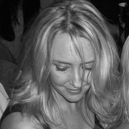 wendy licis