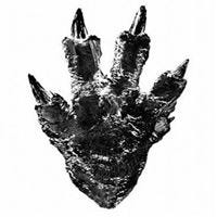 Marwanescu Marwansky