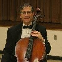 Michael P Stein