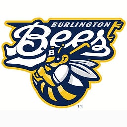 Burlington Bees