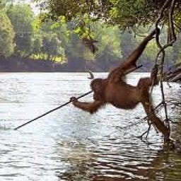 Andrew Charlton