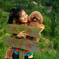 Clare Yue Lou