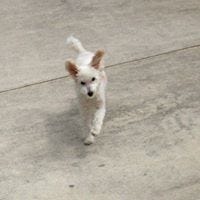 Catherine Harrington