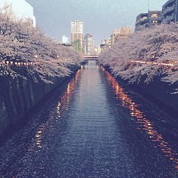 骆然