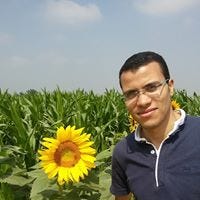 Ibrahim AbdelGawad