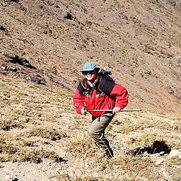 Pablo J. Vera