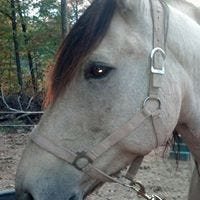 Kathy McKenzie Woods