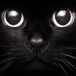Black Cat