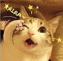 Eris.Y (:3」∠)