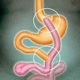 Boston Bariatrics