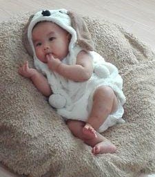 OpenBilly