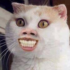Trác Quân