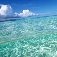 María Rita Sánchez Chiuyari