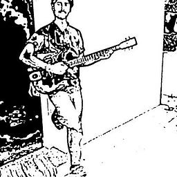 Parimal Narayan