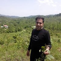 Meisam Ramezany