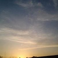 Deepshikha Choudhary