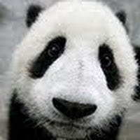 Tiansheng Yao