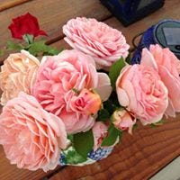Floreida Quiaoit
