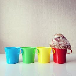 Mimmi K.J