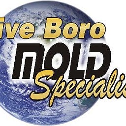 5BoroMold