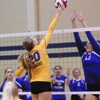 Natasha Kellogg