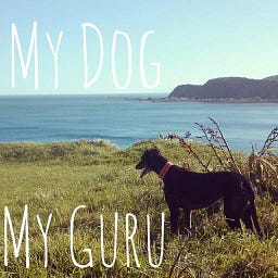 My Dog My Guru