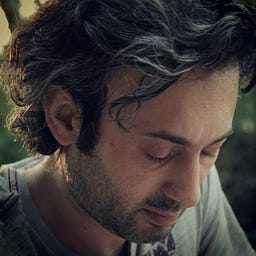 beyaz tavşan