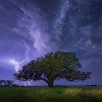 Ken Engling