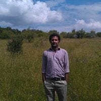 Ali Awan
